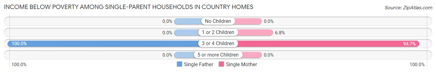 Income Below Poverty Among Single-Parent Households in Country Homes
