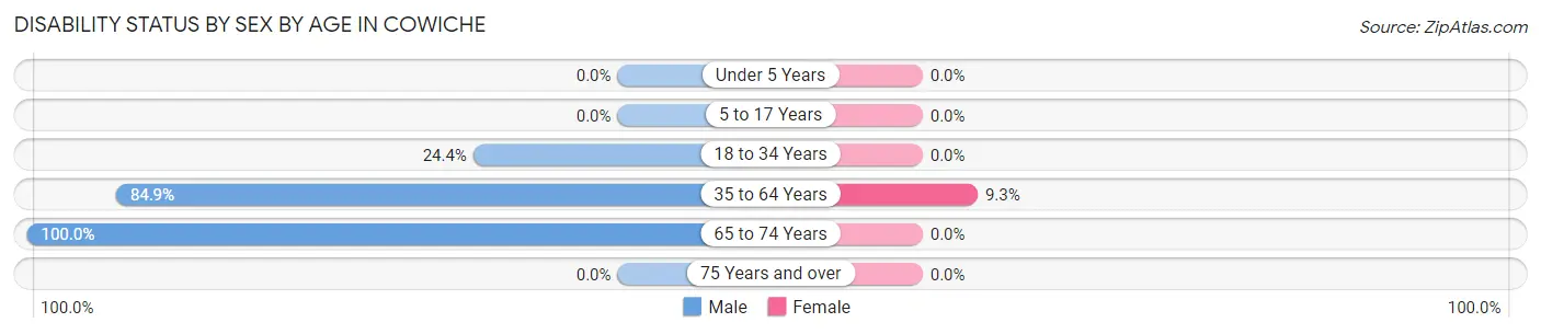 Disability Status by Sex by Age in Cowiche