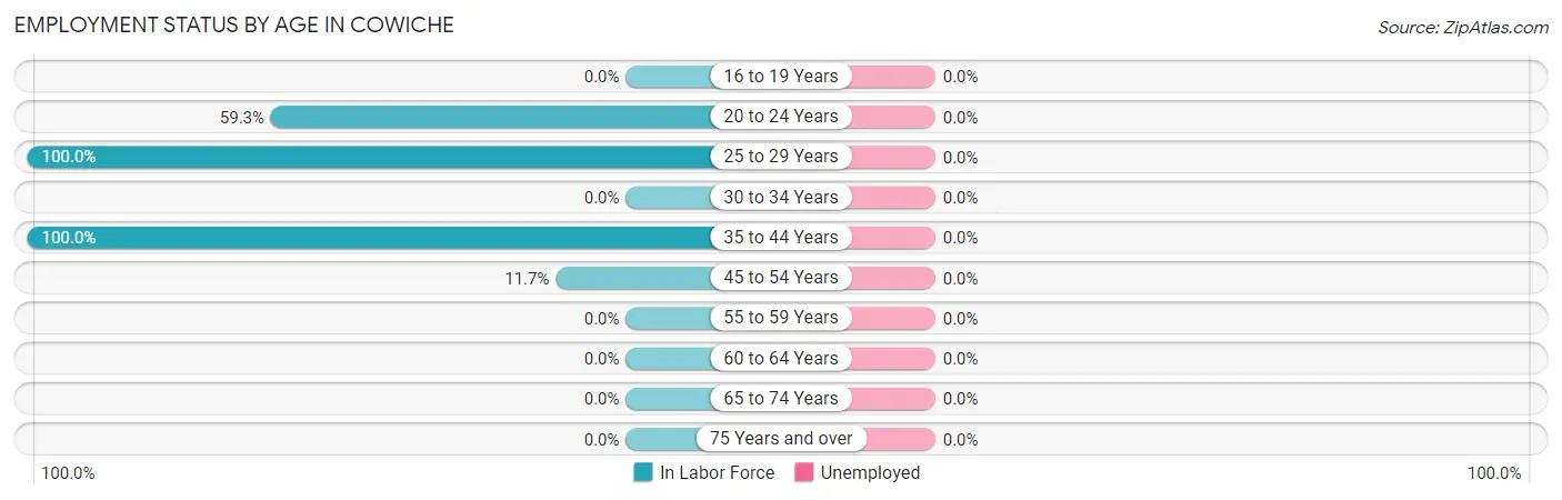 Employment Status by Age in Cowiche