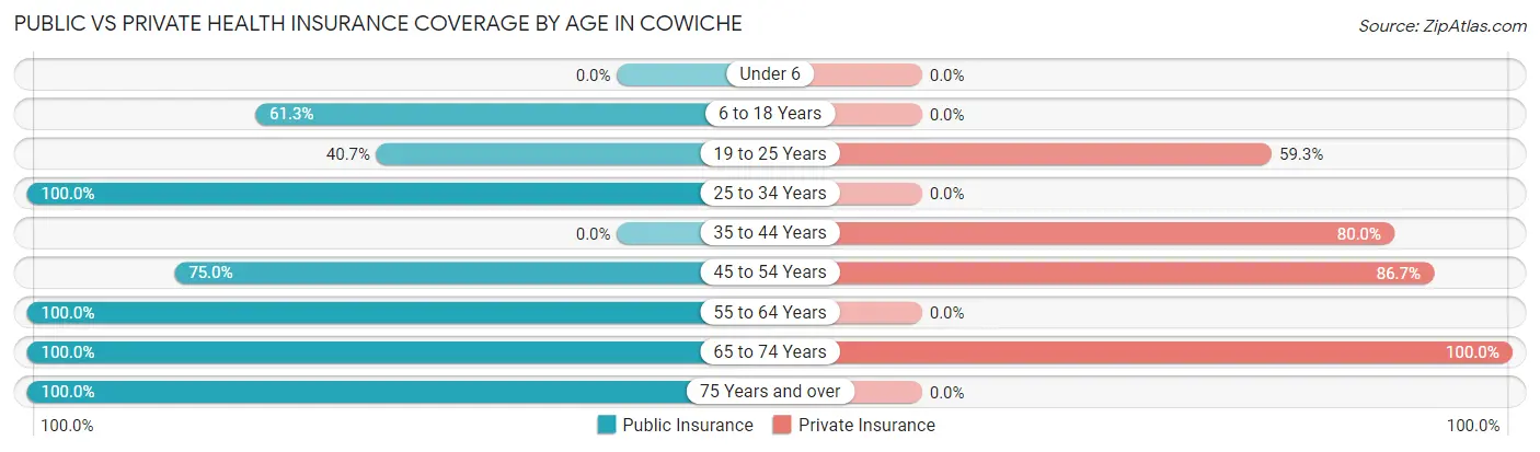 Public vs Private Health Insurance Coverage by Age in Cowiche
