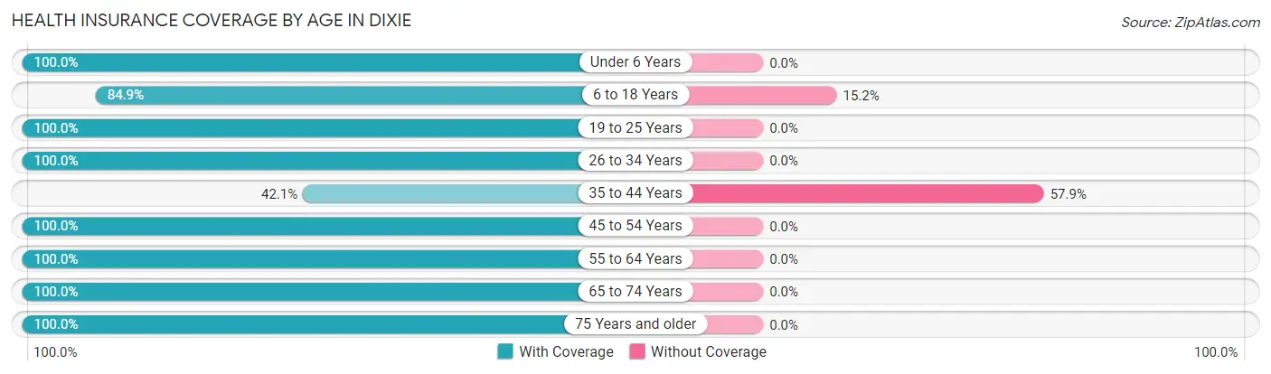 Health Insurance Coverage by Age in Dixie