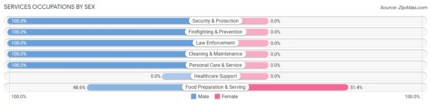 Services Occupations by Sex in Duvall