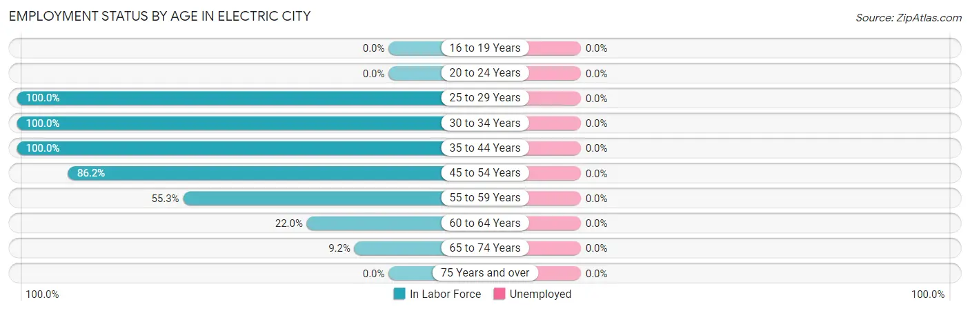 Employment Status by Age in Electric City