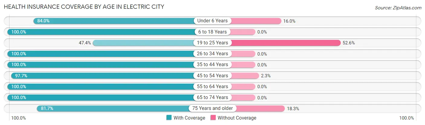 Health Insurance Coverage by Age in Electric City