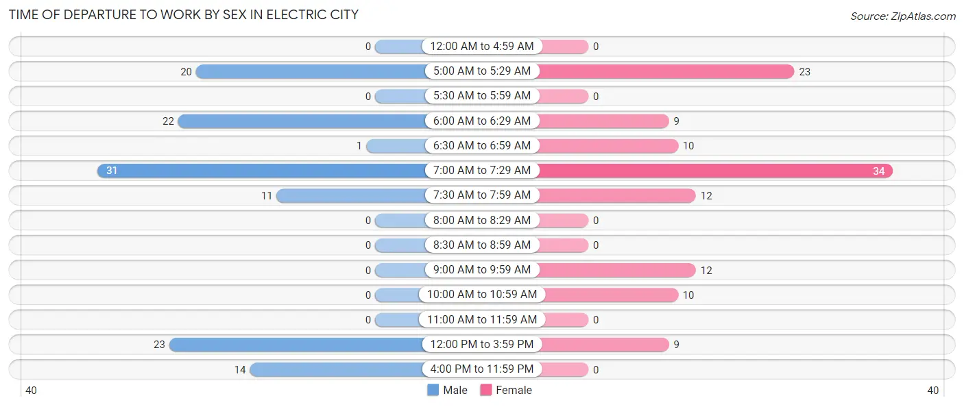 Time of Departure to Work by Sex in Electric City