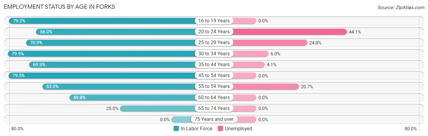 Employment Status by Age in Forks