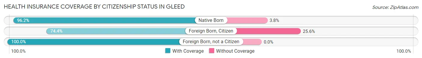 Health Insurance Coverage by Citizenship Status in Gleed