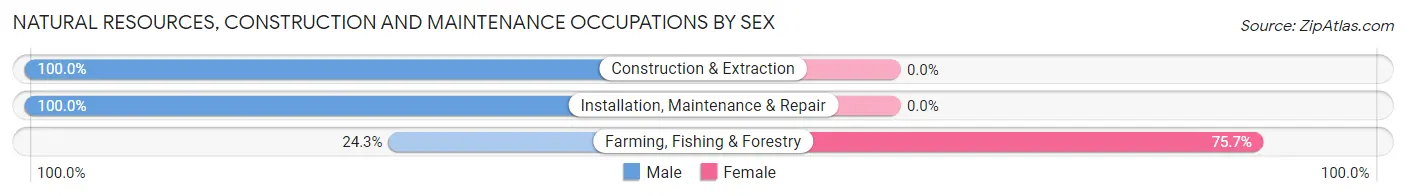 Natural Resources, Construction and Maintenance Occupations by Sex in Gleed