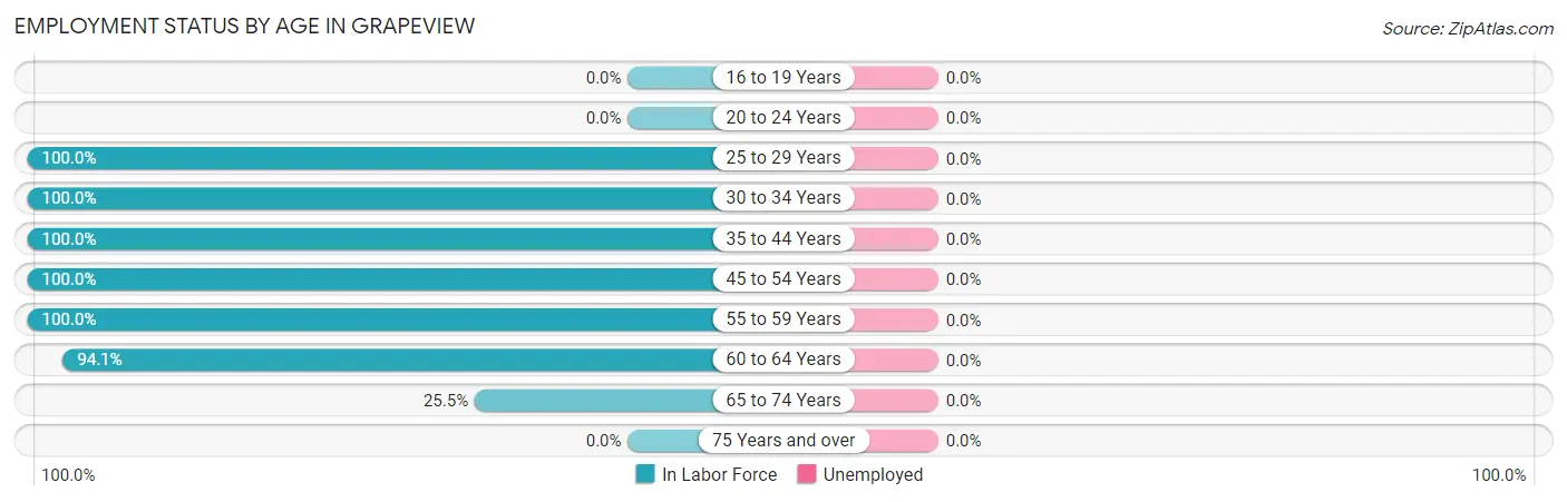 Employment Status by Age in Grapeview