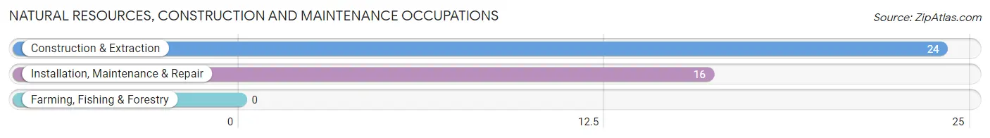 Natural Resources, Construction and Maintenance Occupations in Grapeview