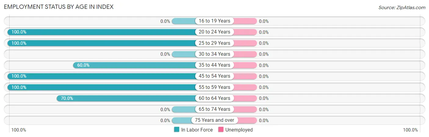 Employment Status by Age in Index