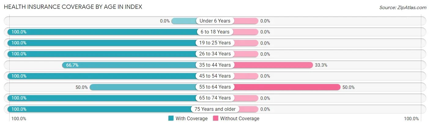 Health Insurance Coverage by Age in Index