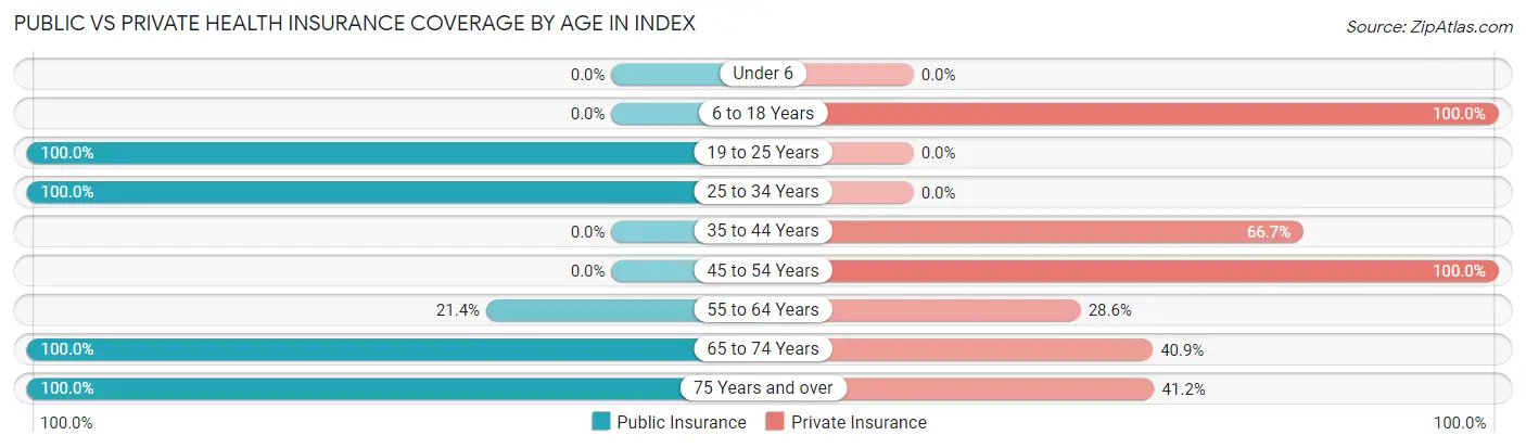 Public vs Private Health Insurance Coverage by Age in Index