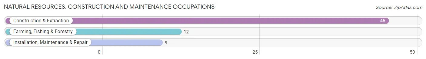 Natural Resources, Construction and Maintenance Occupations in Kettle Falls