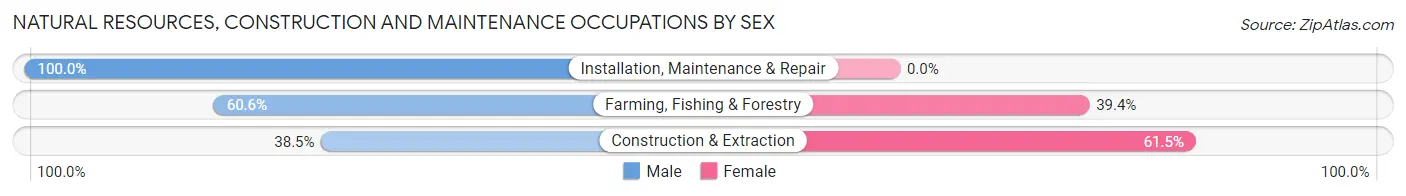 Natural Resources, Construction and Maintenance Occupations by Sex in Mabton