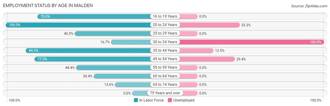 Employment Status by Age in Malden