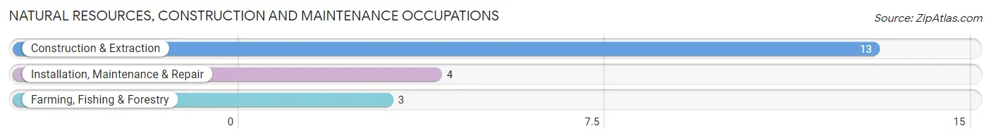 Natural Resources, Construction and Maintenance Occupations in Malden