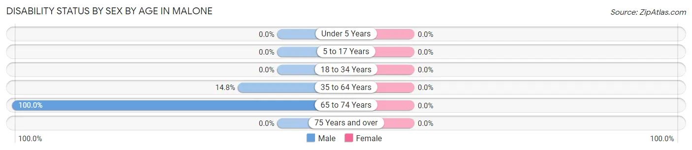 Disability Status by Sex by Age in Malone