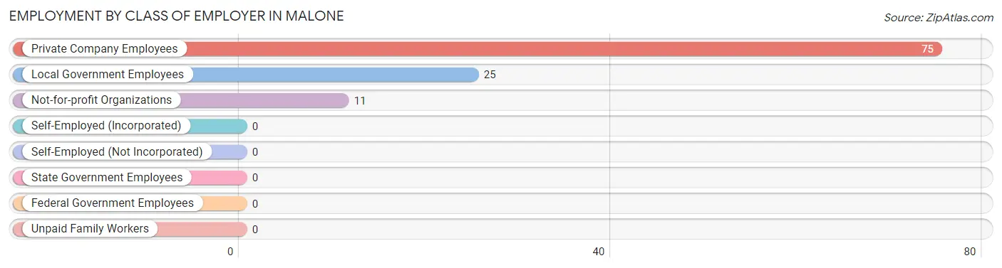 Employment by Class of Employer in Malone