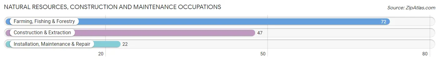 Natural Resources, Construction and Maintenance Occupations in Malott