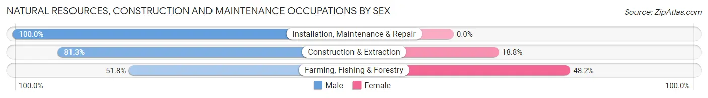 Natural Resources, Construction and Maintenance Occupations by Sex in Mattawa