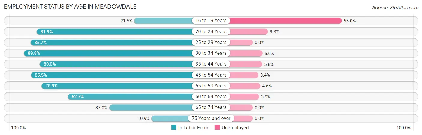 Employment Status by Age in Meadowdale