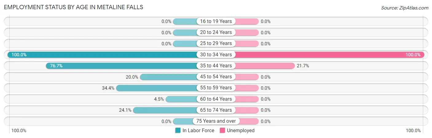 Employment Status by Age in Metaline Falls