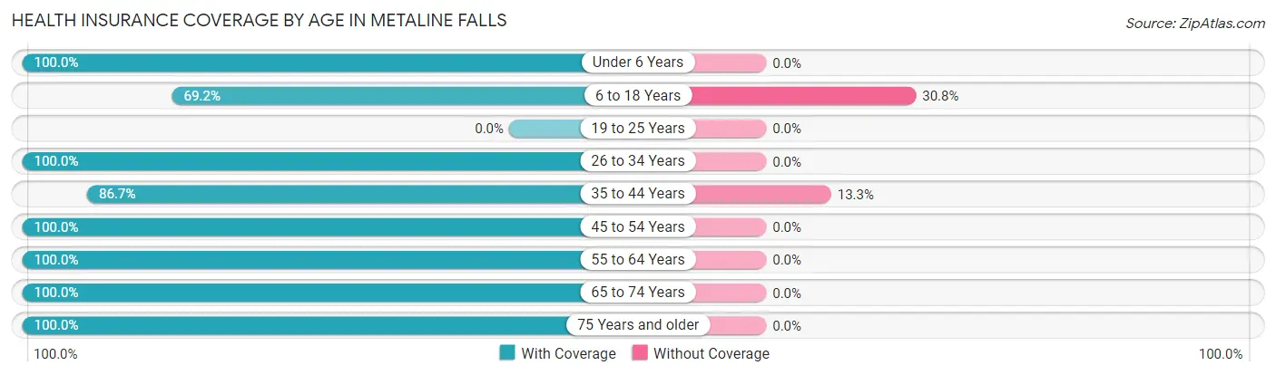 Health Insurance Coverage by Age in Metaline Falls
