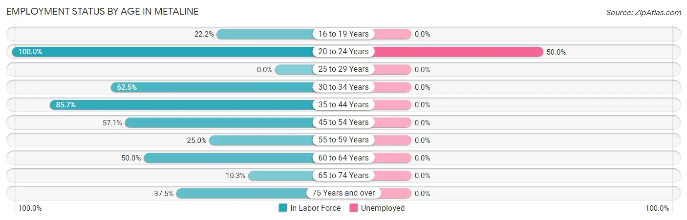 Employment Status by Age in Metaline