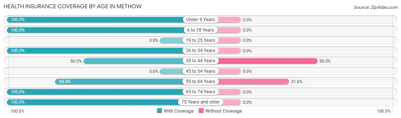 Health Insurance Coverage by Age in Methow