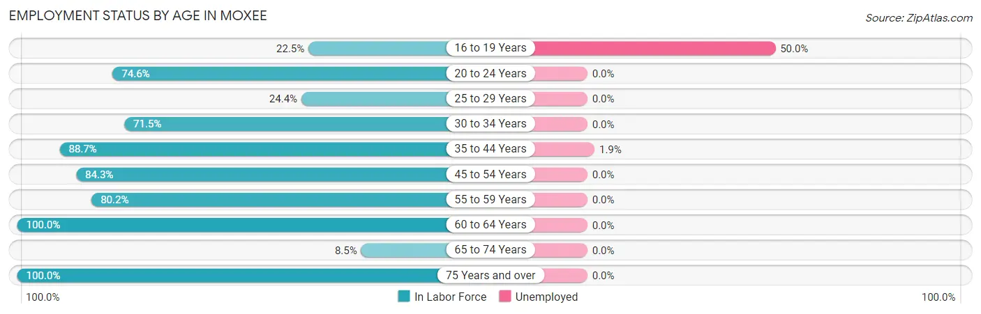 Employment Status by Age in Moxee