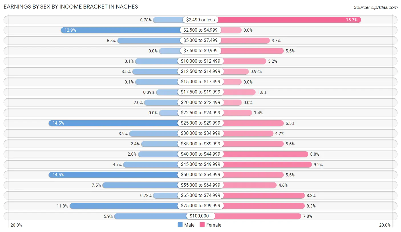 Earnings by Sex by Income Bracket in Naches