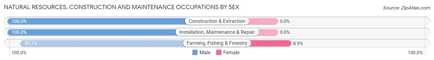Natural Resources, Construction and Maintenance Occupations by Sex in Neah Bay
