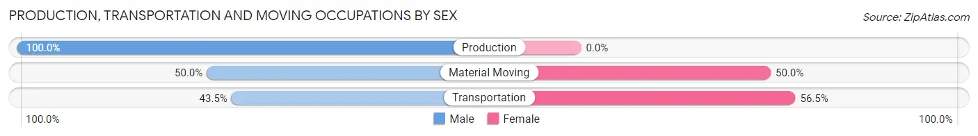 Production, Transportation and Moving Occupations by Sex in Northport