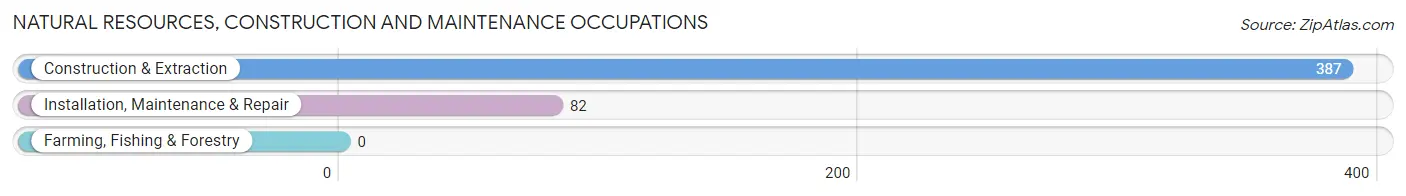 Natural Resources, Construction and Maintenance Occupations in Orting