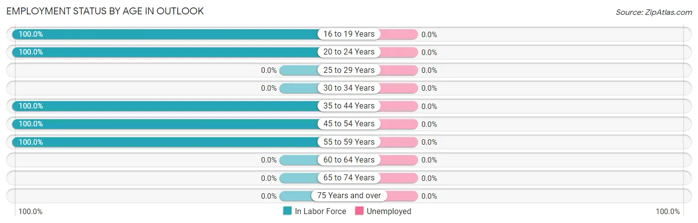 Employment Status by Age in Outlook