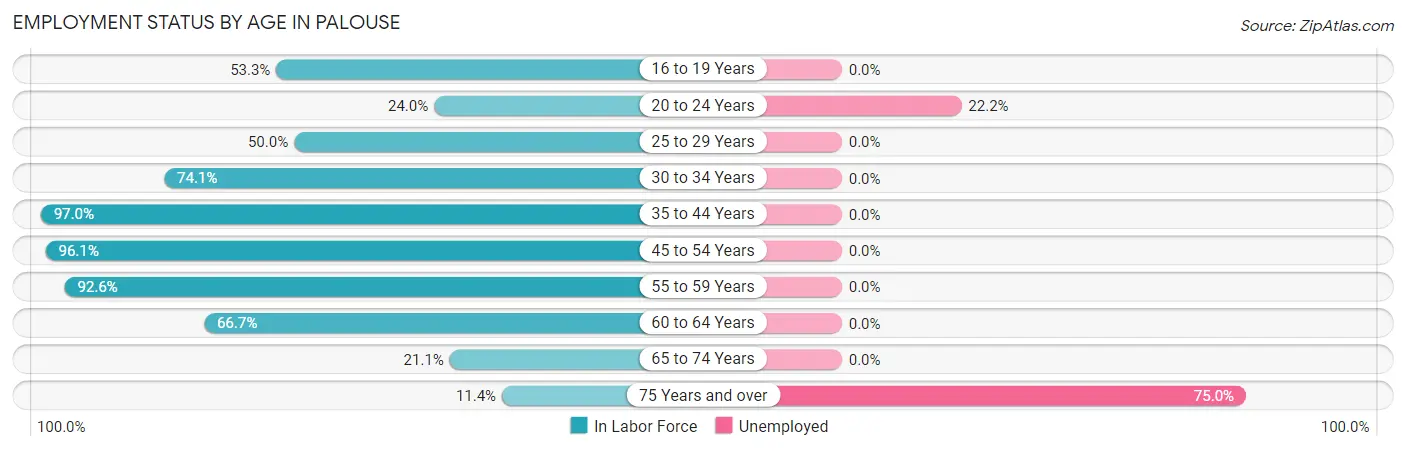 Employment Status by Age in Palouse