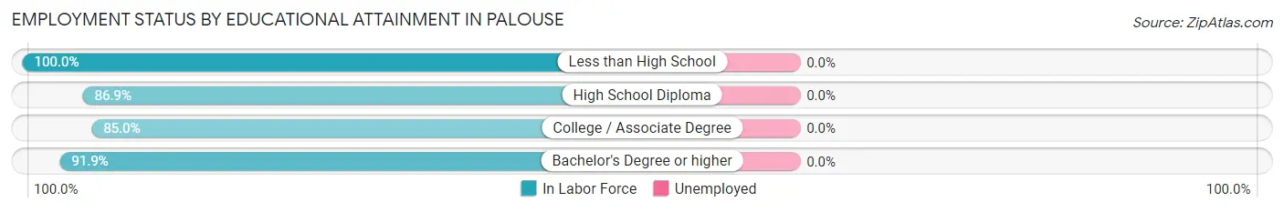 Employment Status by Educational Attainment in Palouse