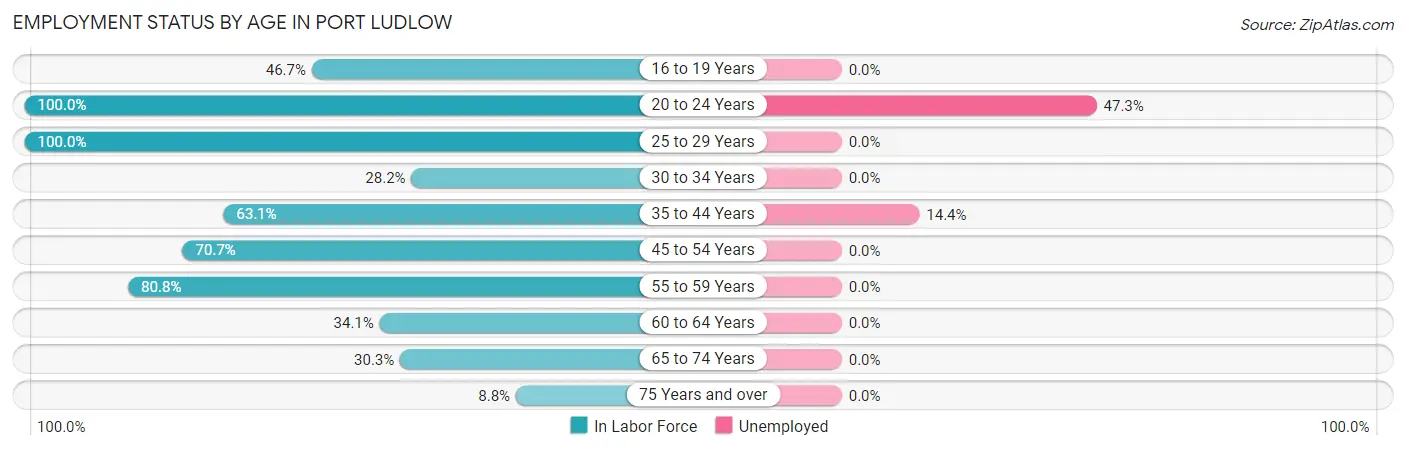 Employment Status by Age in Port Ludlow