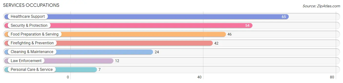 Services Occupations in Rainier