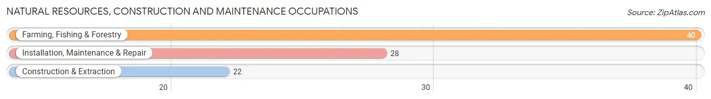 Natural Resources, Construction and Maintenance Occupations in Rock Island