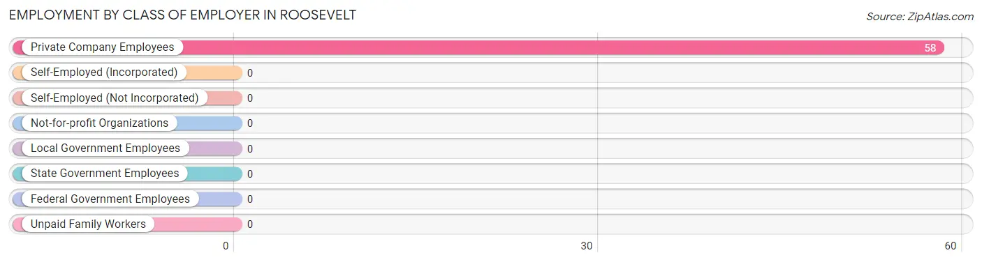 Employment by Class of Employer in Roosevelt