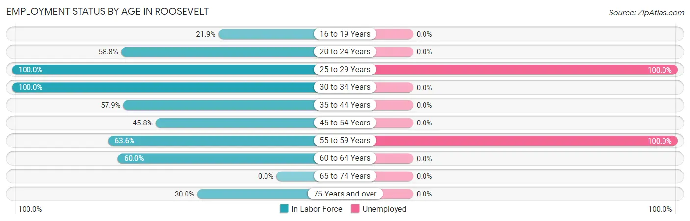 Employment Status by Age in Roosevelt