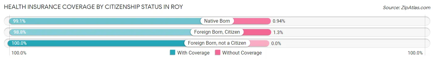 Health Insurance Coverage by Citizenship Status in Roy