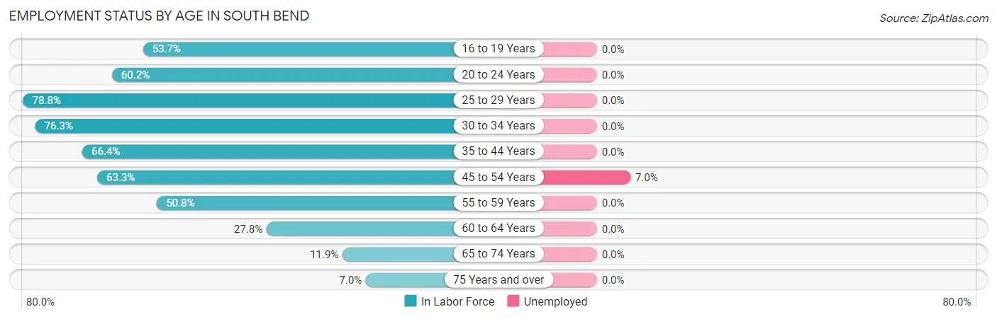 Employment Status by Age in South Bend