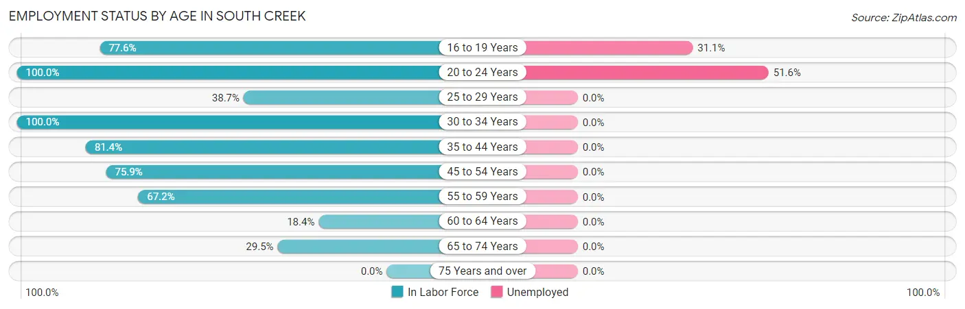 Employment Status by Age in South Creek