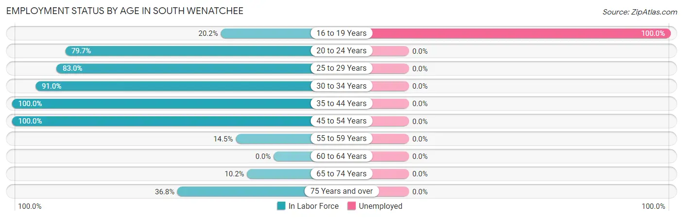Employment Status by Age in South Wenatchee