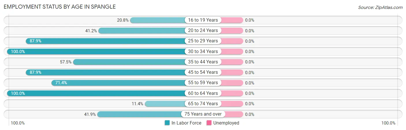 Employment Status by Age in Spangle