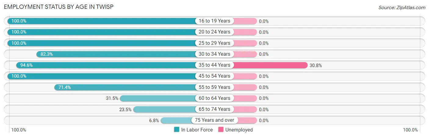 Employment Status by Age in Twisp