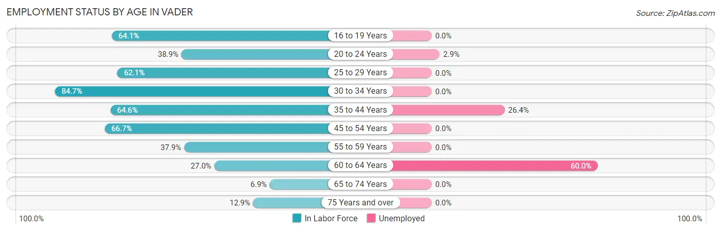 Employment Status by Age in Vader